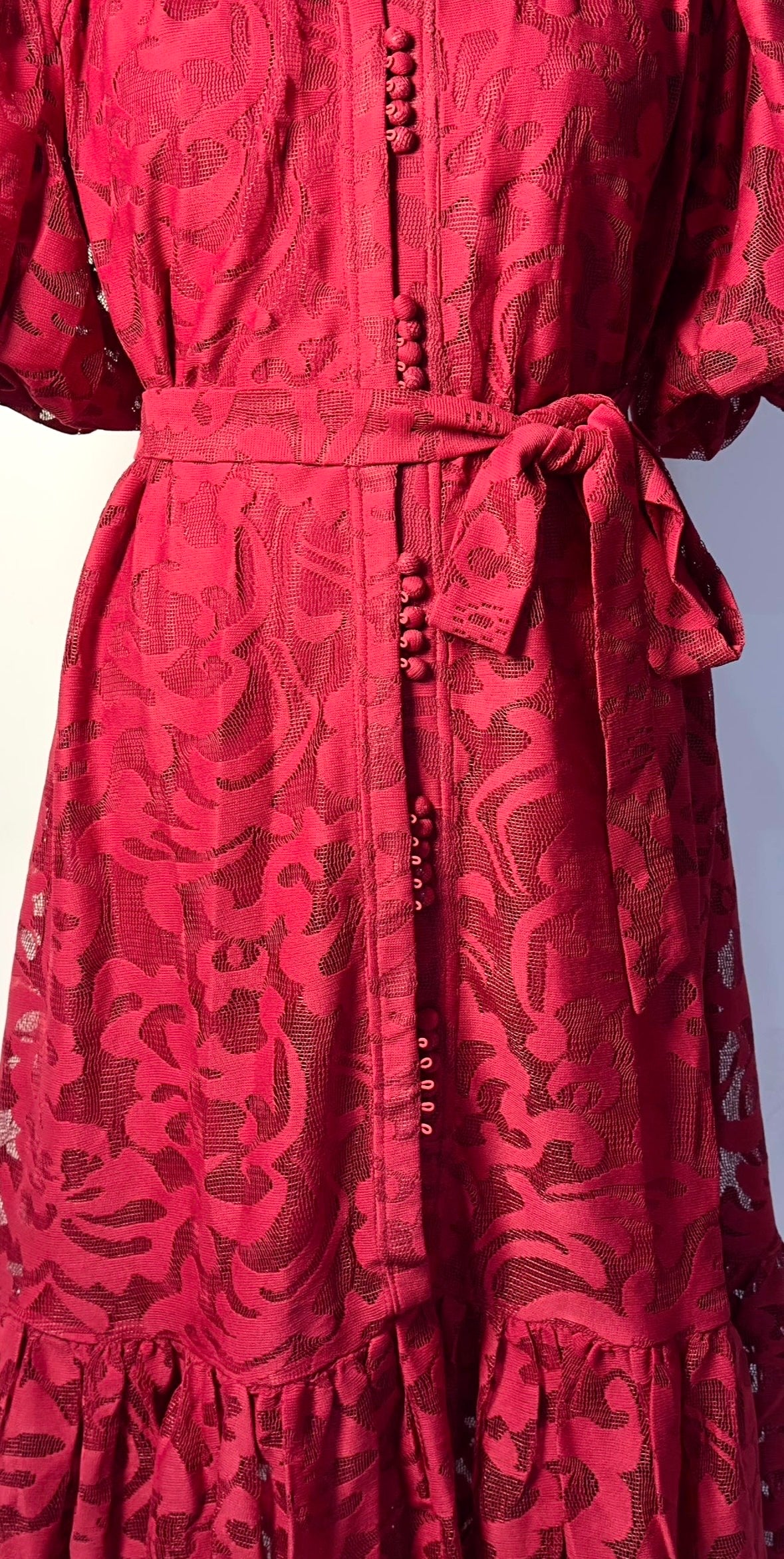 CRIMSON DAHLIA EMBROIDERY LACE DRESS