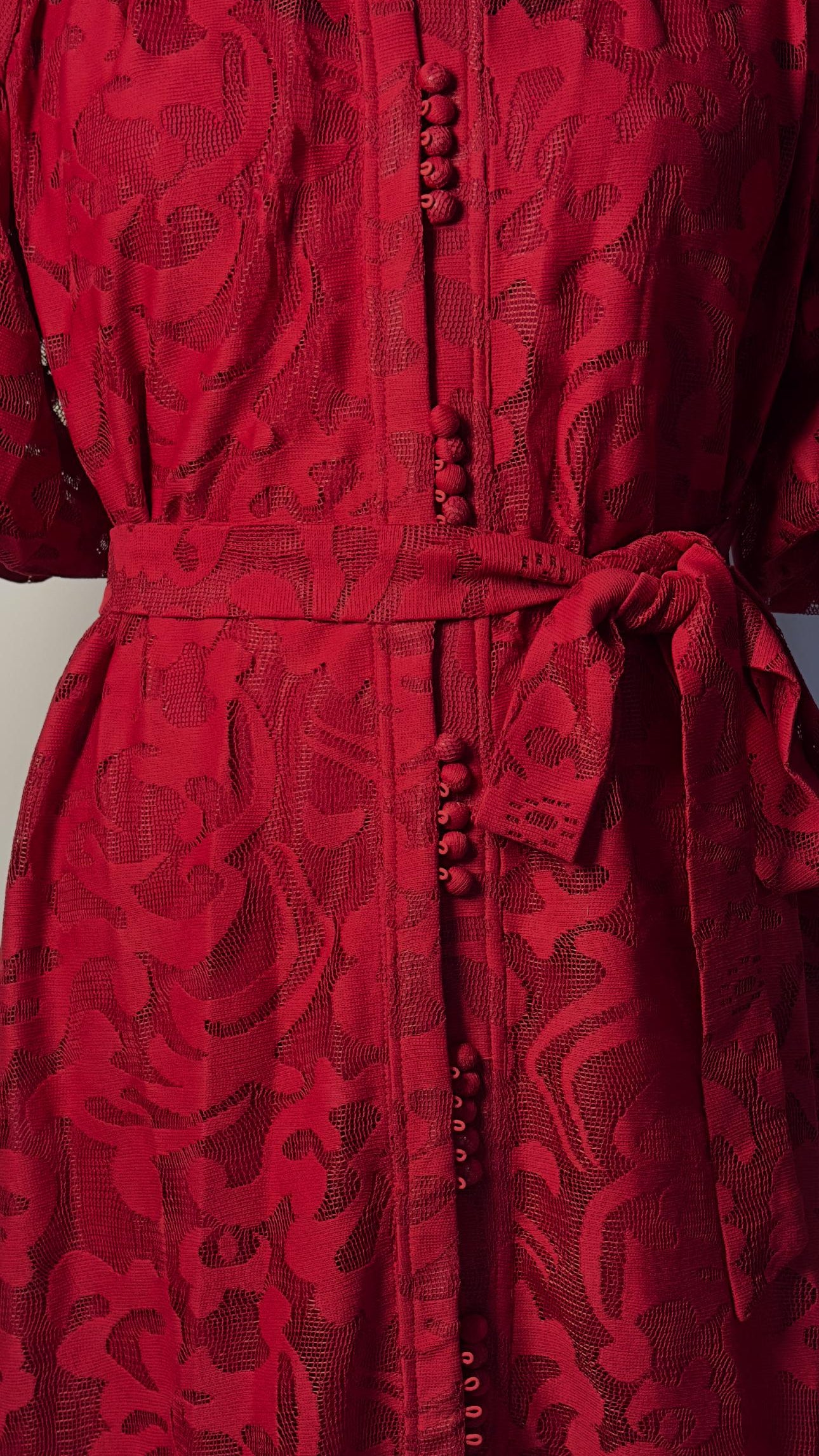 CRIMSON DAHLIA EMBROIDERY LACE DRESS